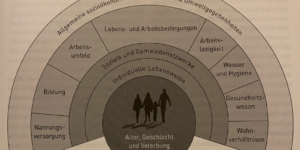 Bestimmungsgrößen der Gesundheit. Quelle: Weeber, in Böhme et.al: Handbuch Stadtplanung und Gesundheit, 2012, S.63.